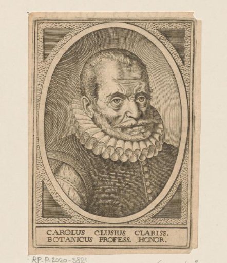 Portrait of Carolus Clusius