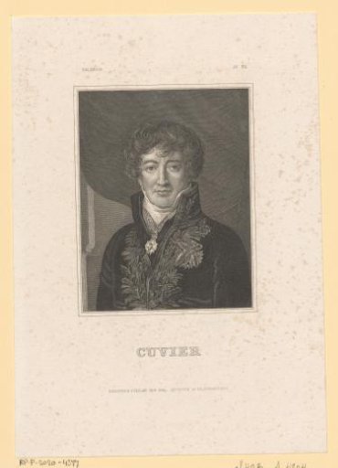 Portrait of Georges Cuvier
