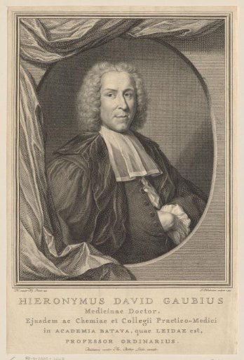 Portrait of Hieronymus David Gaubius