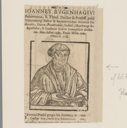 Portrait of Johannes Bugenhagen