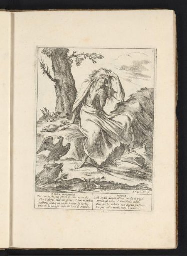The Envious Woman