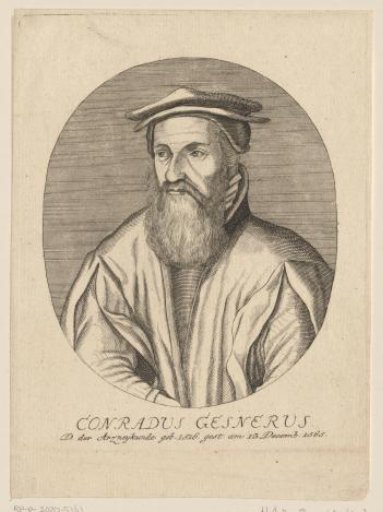 Portrait of Conrad Gesner