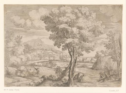 Landscape with a bird on a tree stump