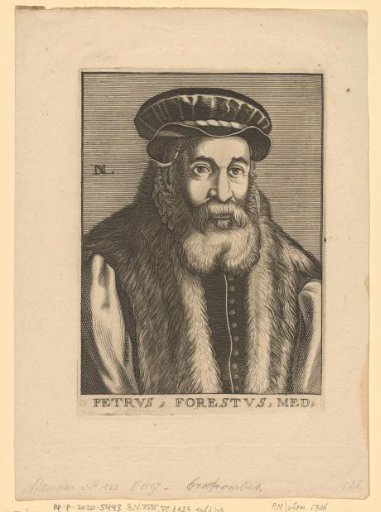 Portrait of Pieter van Foreest