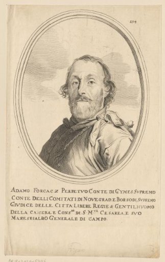 Portrait of Ádám Forgách