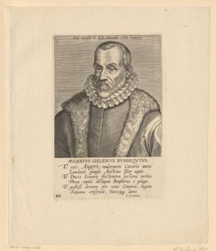 Portrait of Ogier Ghislain de Busbecq