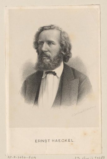 Portrait of Ernst Haeckel