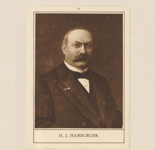 Portrait of Hartog Jacob Hamburger