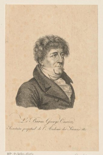 Portrait of Georges Cuvier