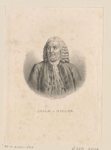 Portrait of Albrecht von Haller