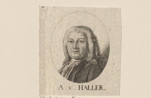 Portrait of Albrecht von Haller