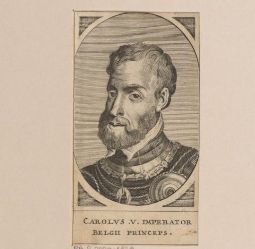 Portrait of Emperor Charles V