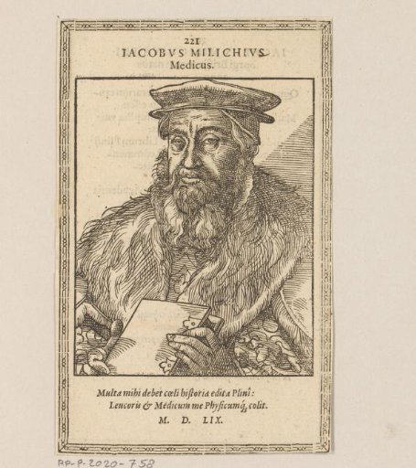Portrait of Jacob Milich