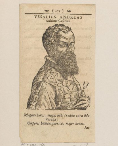 Portrait of Andreas Vesalius