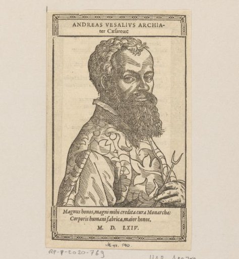 Portrait of Andreas Vesalius