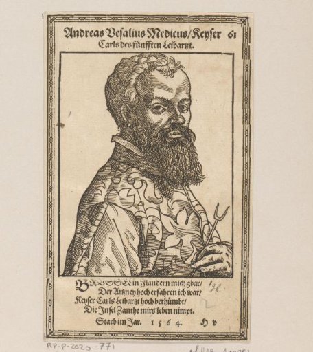 Portrait of Andreas Vesalius