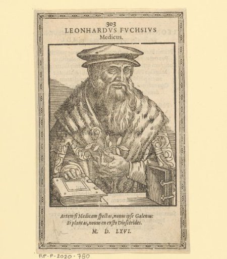 Portrait of Leonhart Fuchs