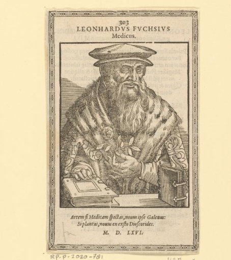 Portrait of Leonhart Fuchs