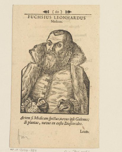 Portrait of Leonhart Fuchs