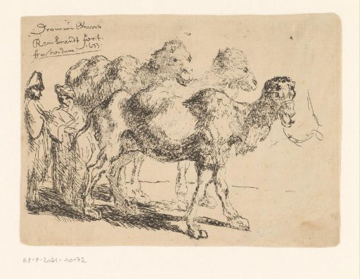 Three camels and two figures