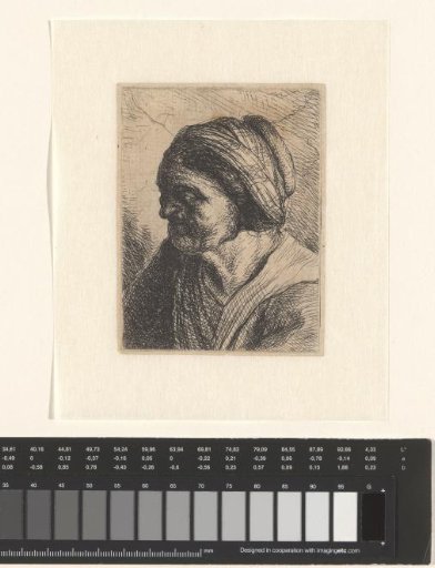 Bust of an Old Woman