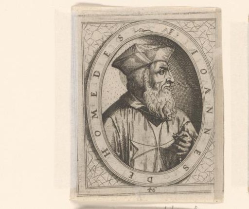 Portrait of Juan de Homedes