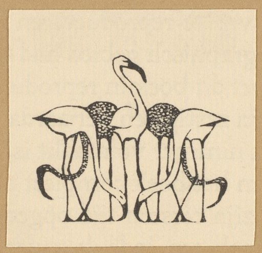 Vignette with five flamingos