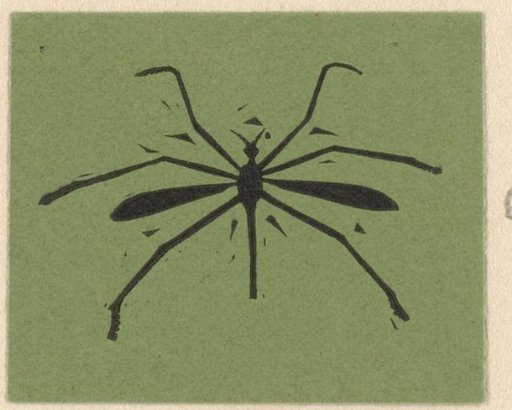 Closing vignette with a crane fly