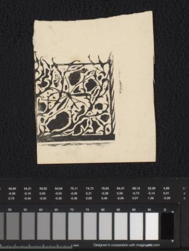 Fragment of a title page head with crane flies and moths