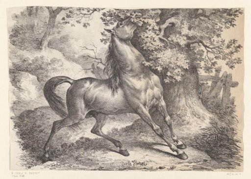 Horse eating leaves from a tree
