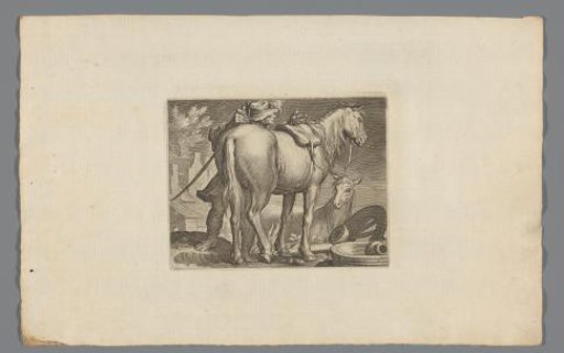 Horses