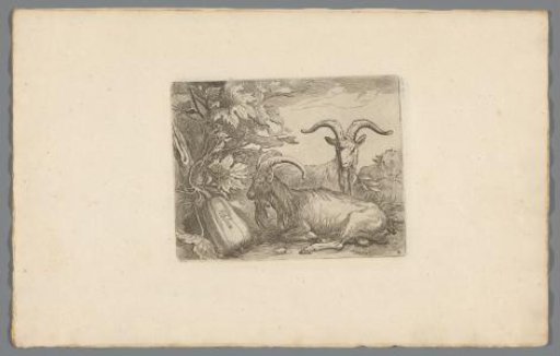 Goats and calabashes