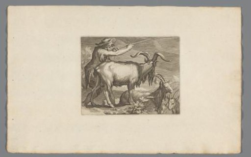 Goat herder with goats