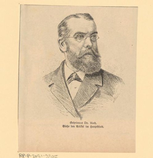 Portrait of Robert Koch