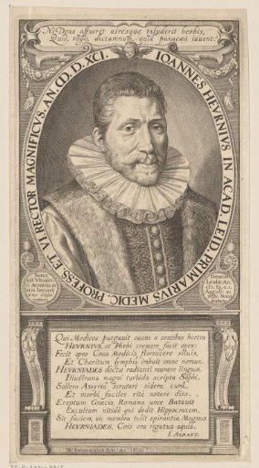 Portrait of Johannes Heurnius