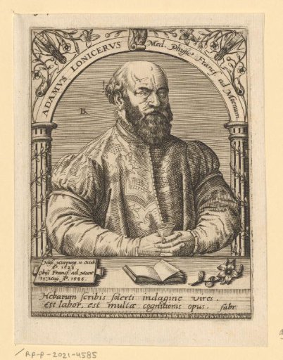 Portrait of Adam Lonitzer