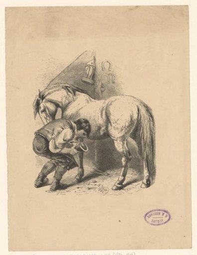 Boy Examining a Horse's Hoof