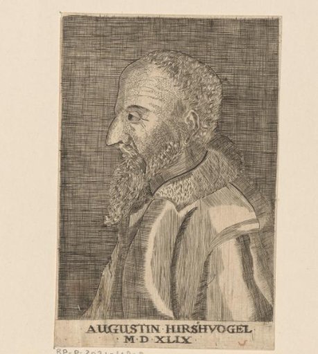 Portrait of Augustin Hirschvogel