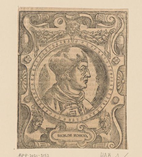 Portrait of an unknown man, possibly Homodei