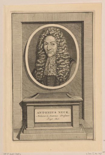 Portrait of Anton Nuck