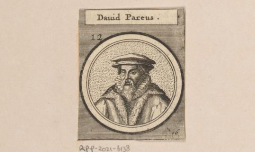 Portrait of David Pareus II