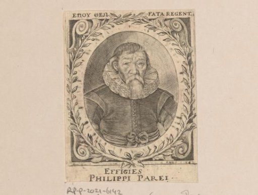 Portrait of Johannes Philippus Pareus