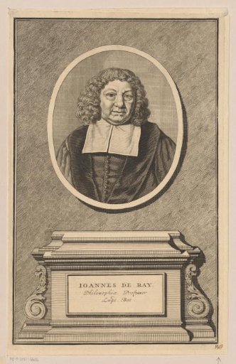 Portrait of Joannes de Ray