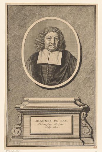 Portrait of Joannes de Ray