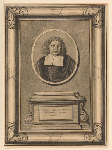 Portrait of Joannes de Ray