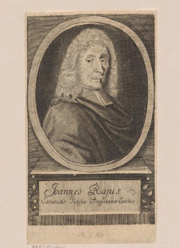 Portrait of Joannes de Ray