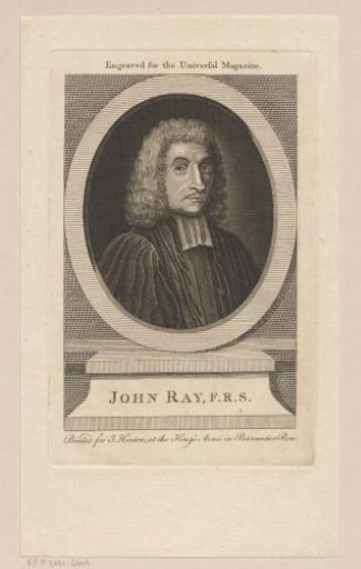 Portrait of Joannes de Ray