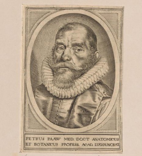 Portrait of Pieter Paaw