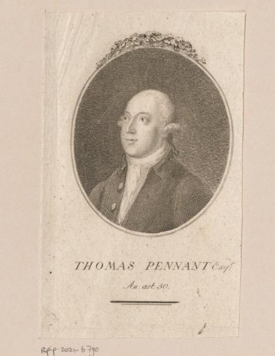 Portrait of Thomas Pennant at the age of 50