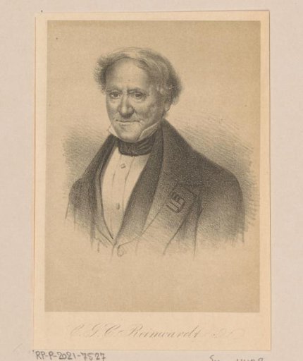 Portrait of Caspar Georg Carl Reinwardt